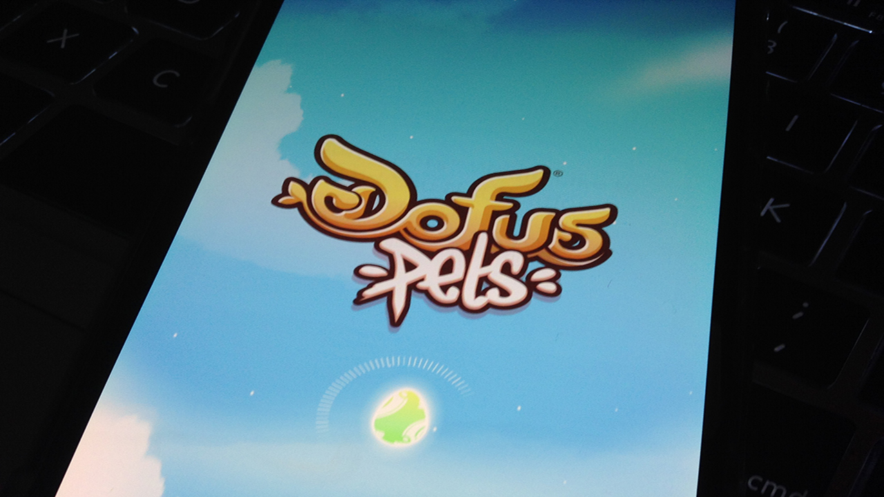 dofus pets 1