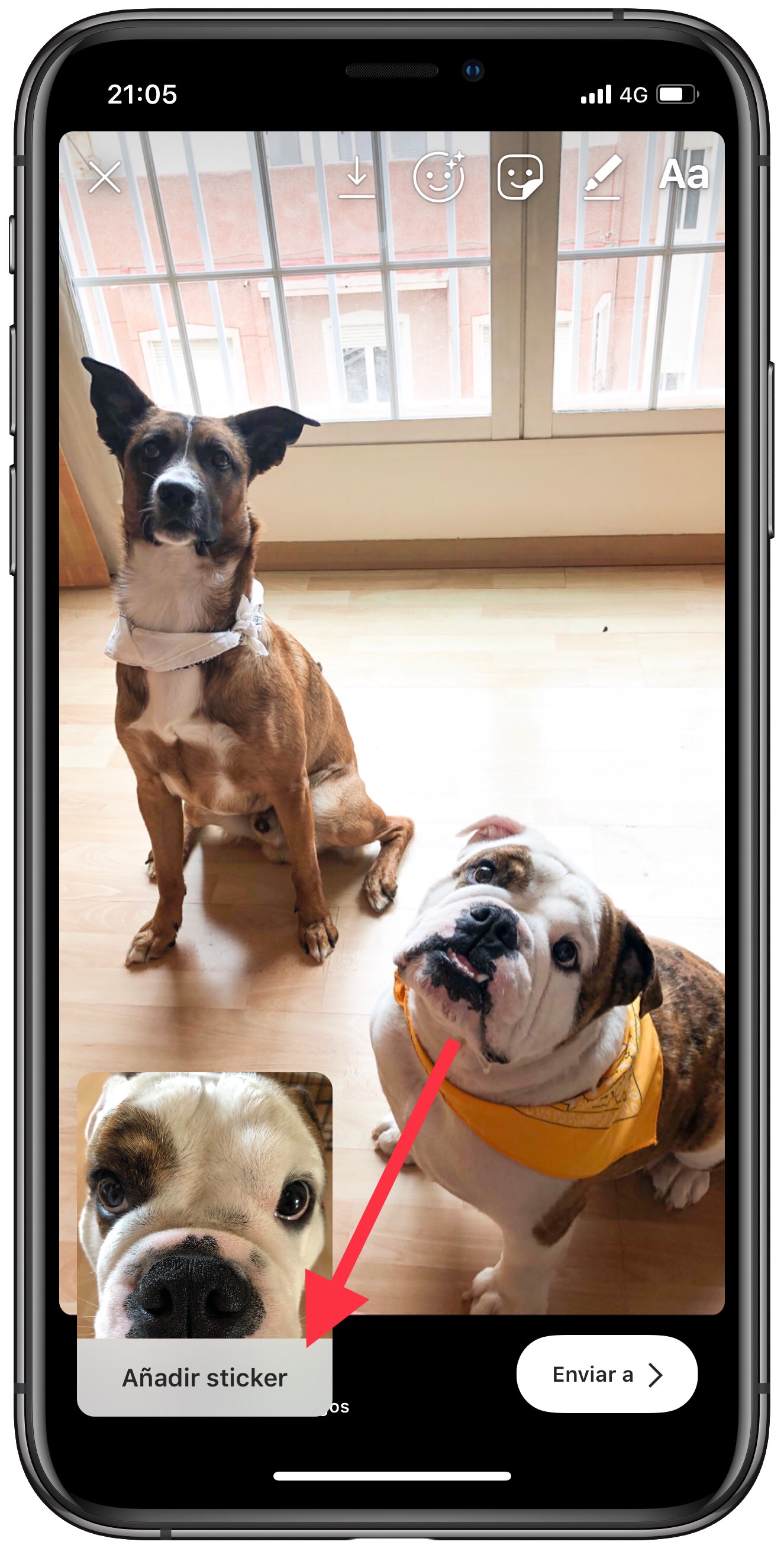 pegar collage en Instagram Stories 1