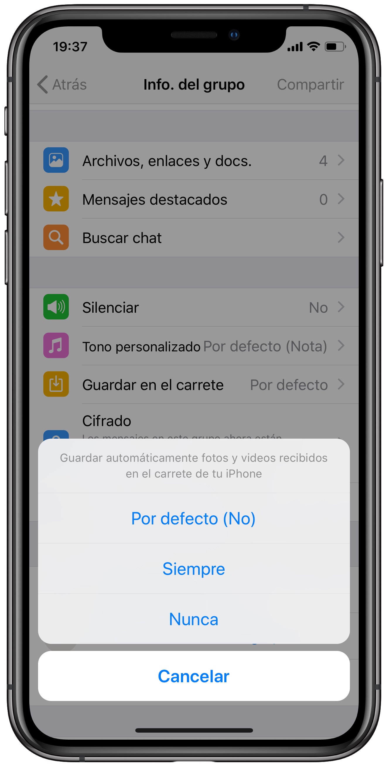 siempre fotos de un grupo de WhatsApp 2