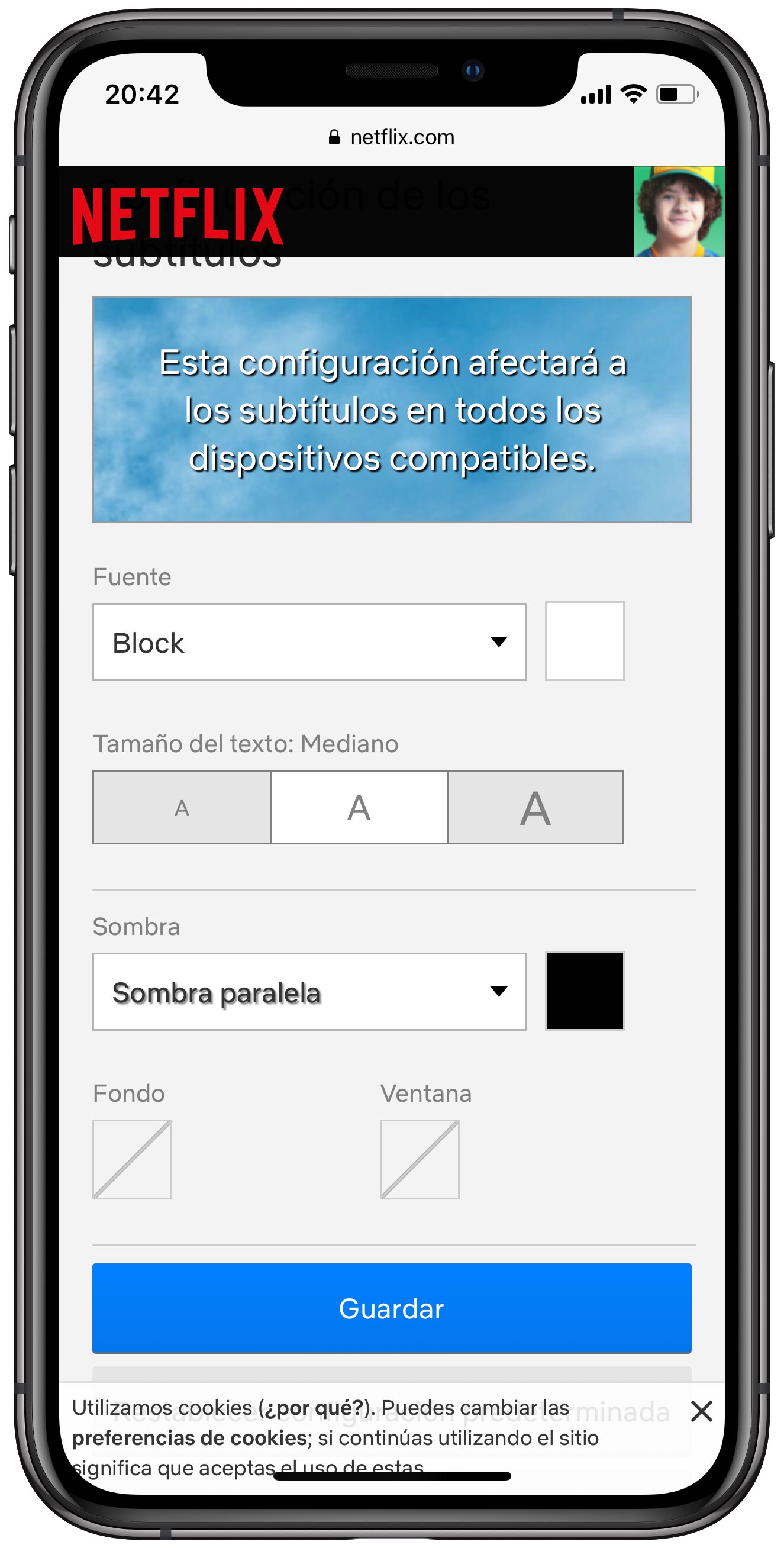 Modificar subtítulos de Netflix 2
