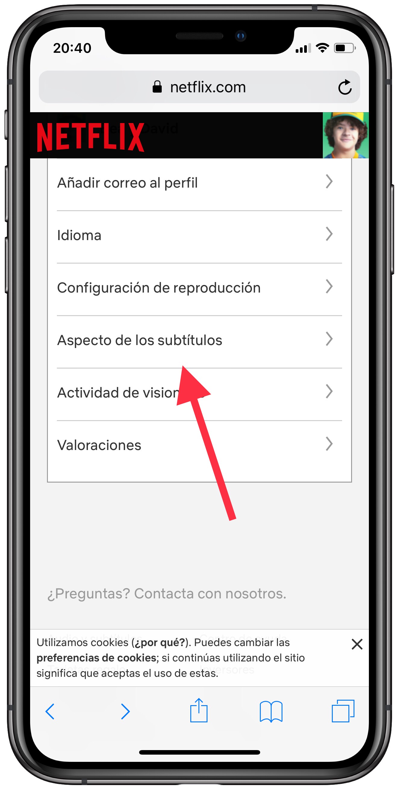 subtítulos subtítulos de Netflix 1