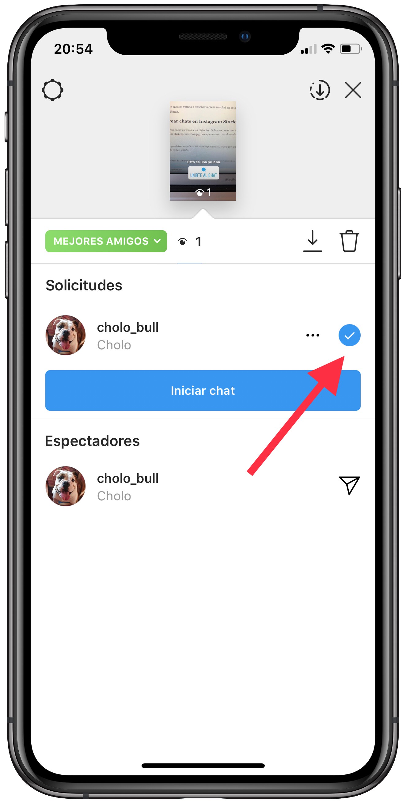 seleccionar chats en Instagram Stories 3