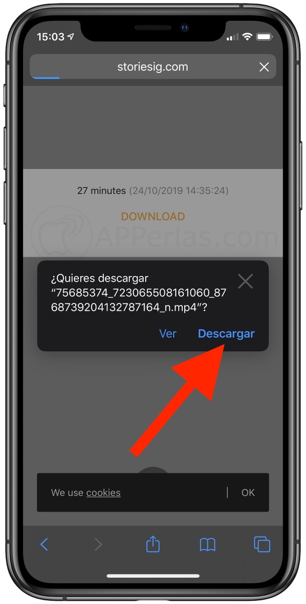 Descargar las Stories desde Safari Descargar las Stories desde Safari