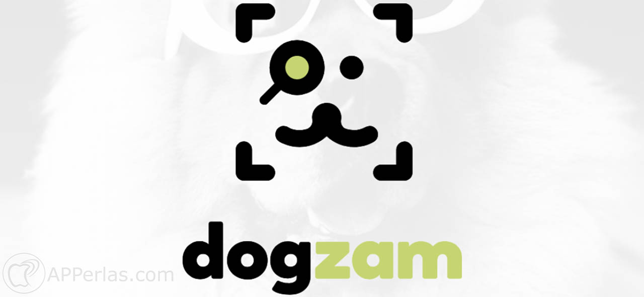 app para identificar perros dogzam 1 app para identificar perros dogzam 1