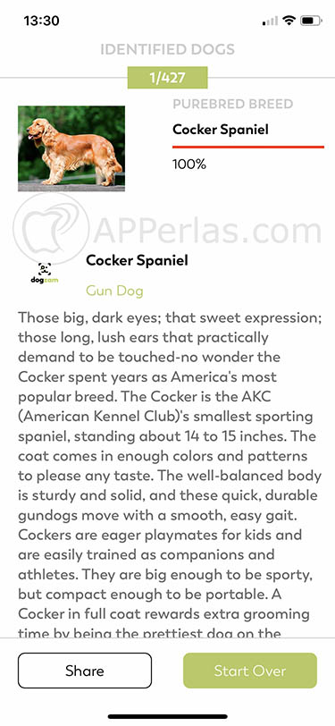 app para identificar perros dogzam 3 app para identificar perros dogzam 3