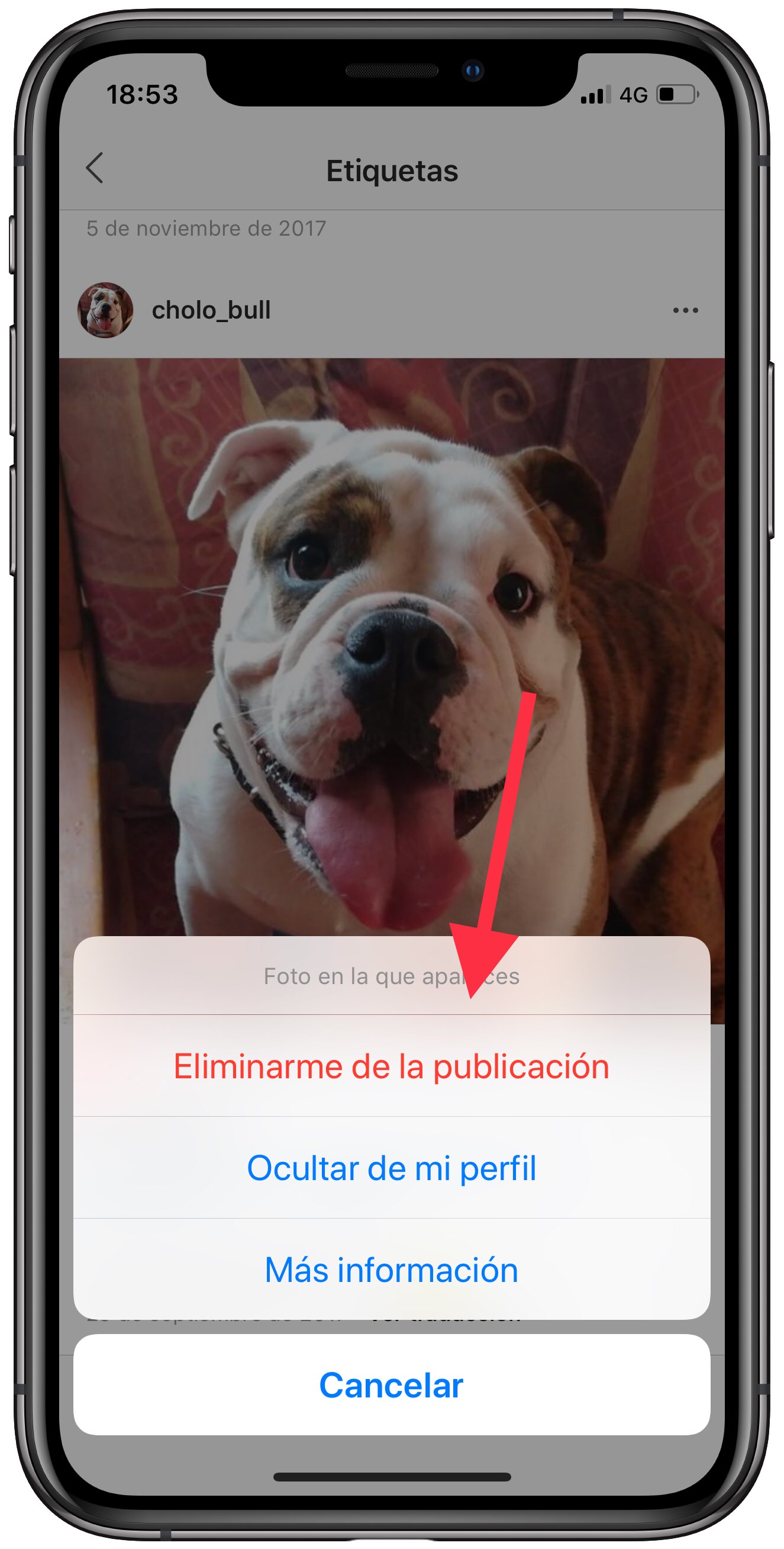 eliminar desetiquetar una foto de Instagram 2