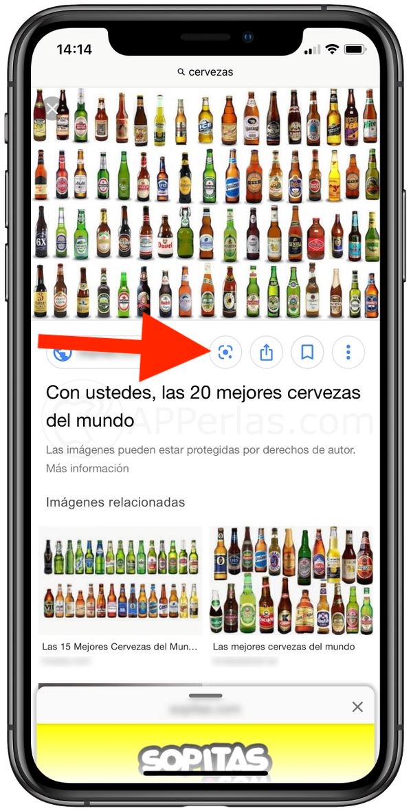 Botón Google Lens en Safari Botón Google Lens en Safari