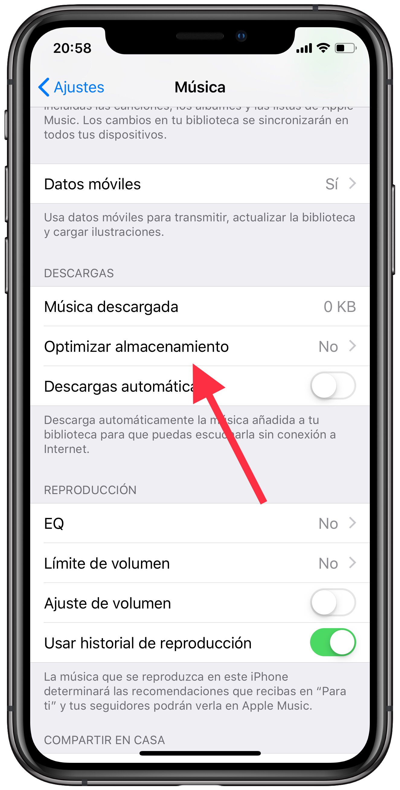 optimizar canciones descargadas 1