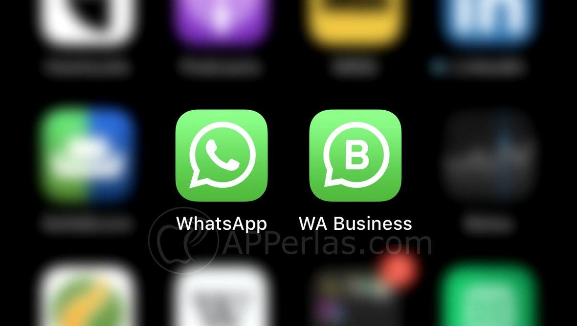 buscar fotos en WhatsApp buscar fotos en WhatsApp