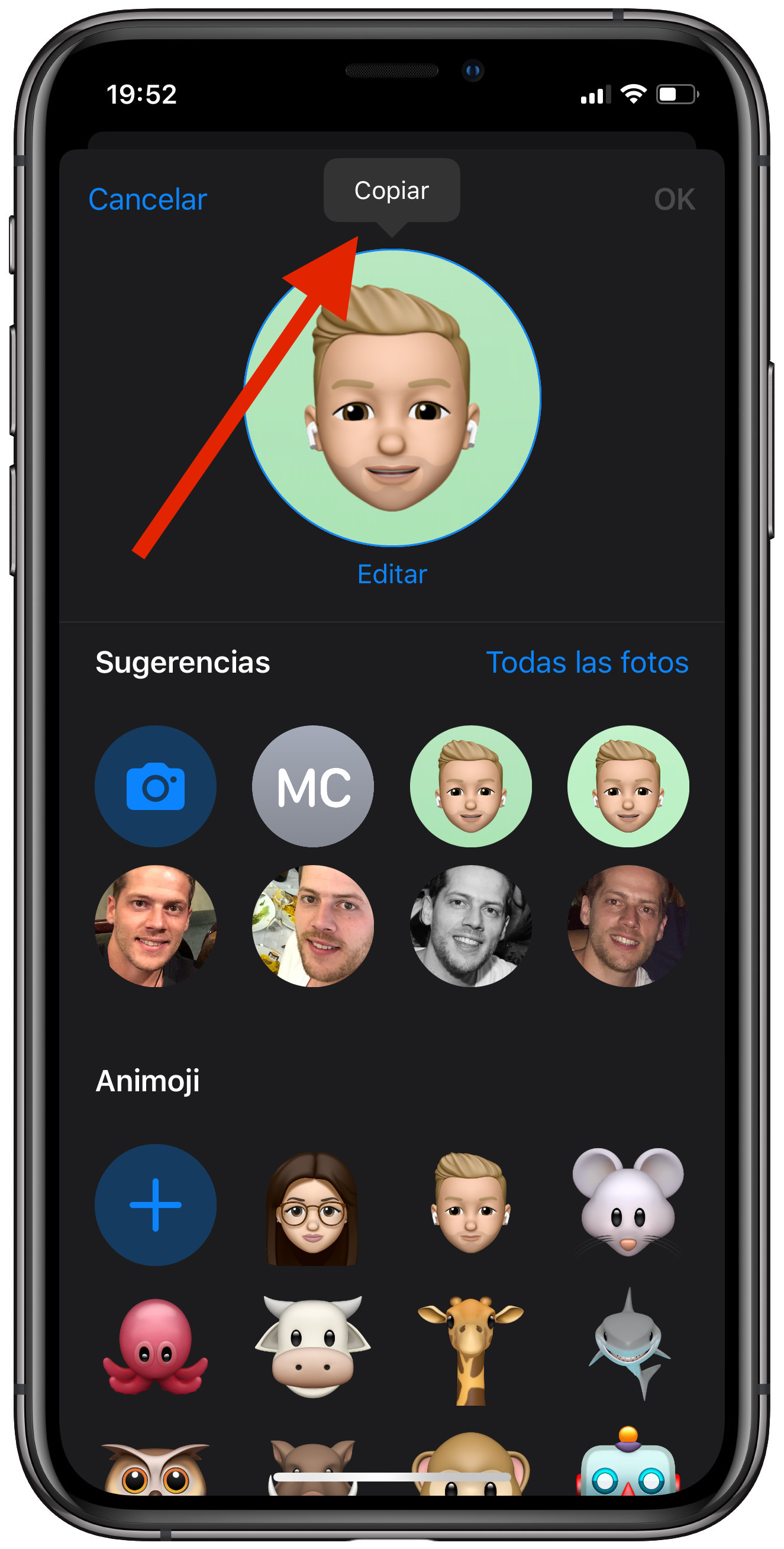 copiar Memoji como foto de perfil 1