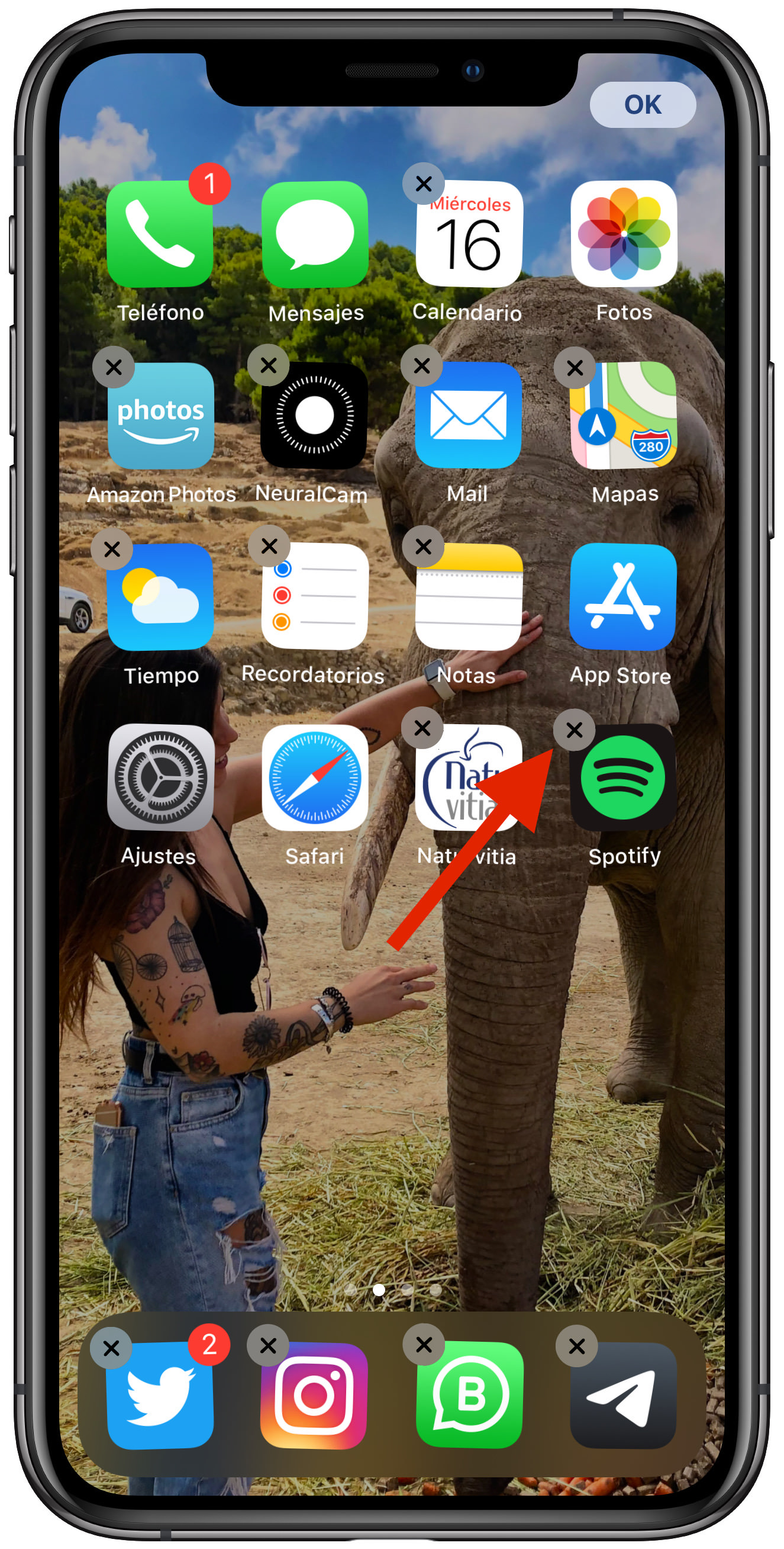 eliminar una app en iOS 2