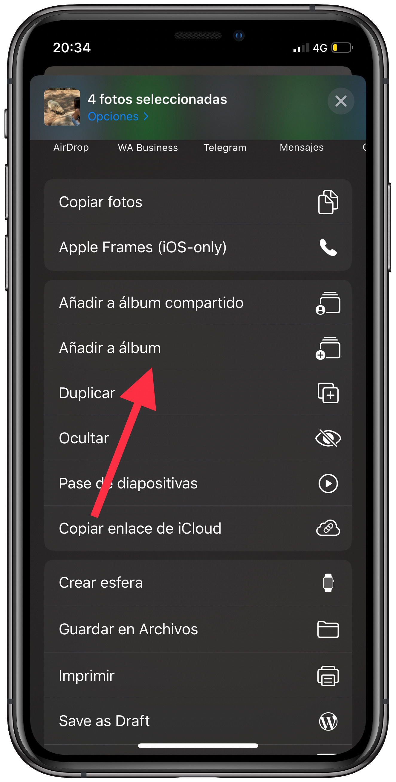carrete en un álbum 2