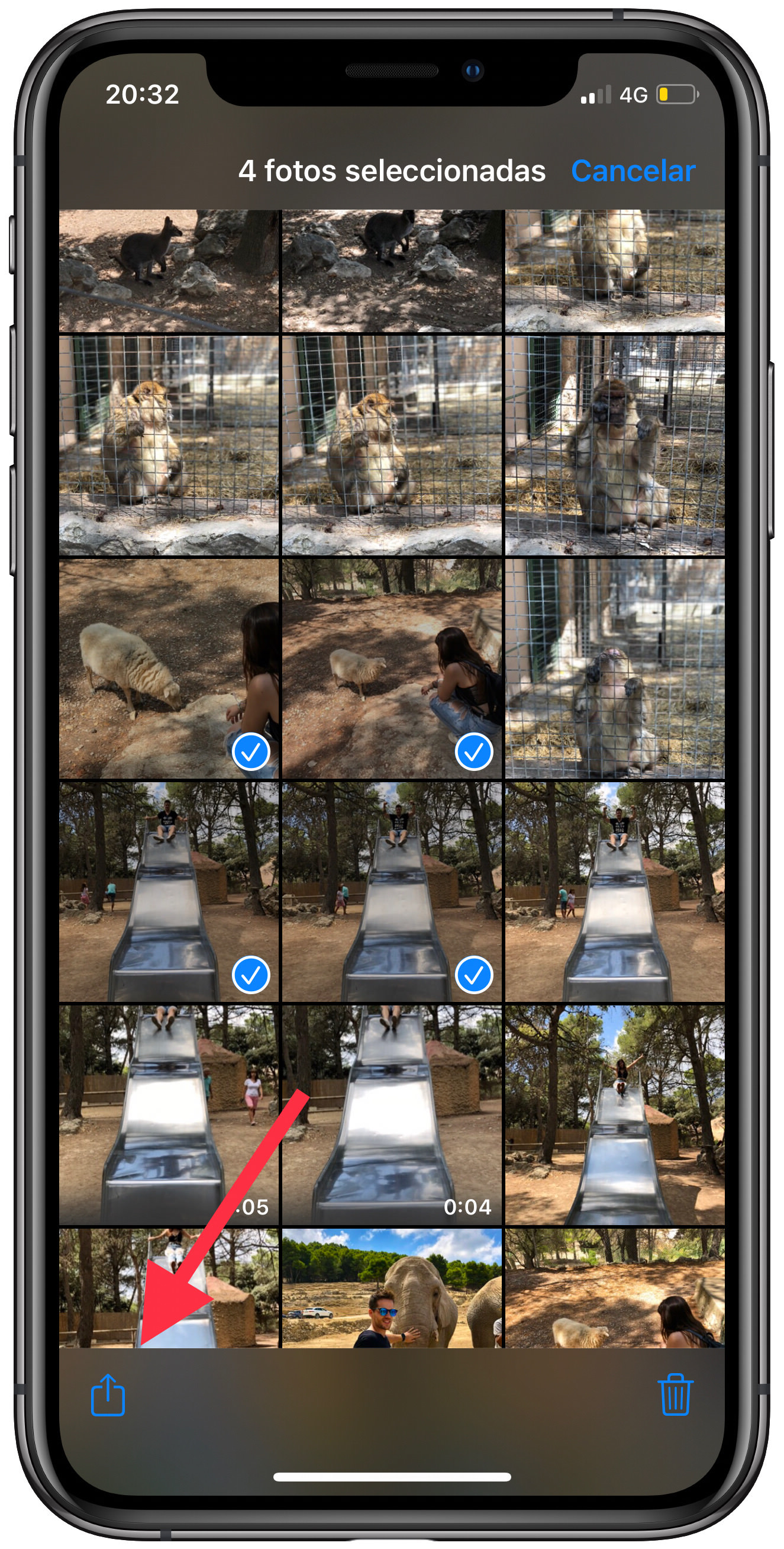 carrete en un álbum 1
