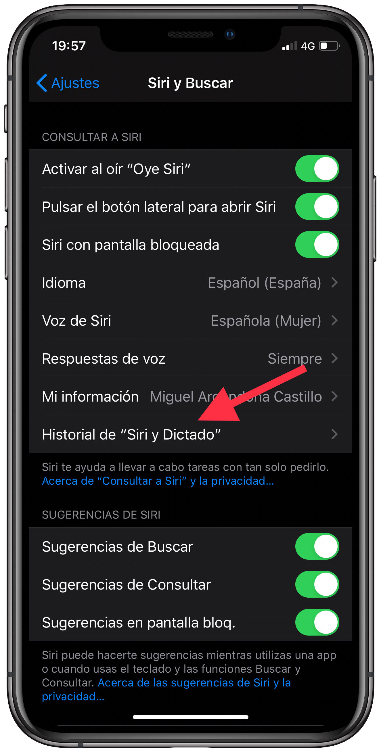 eliminar borrar el historial de Siri