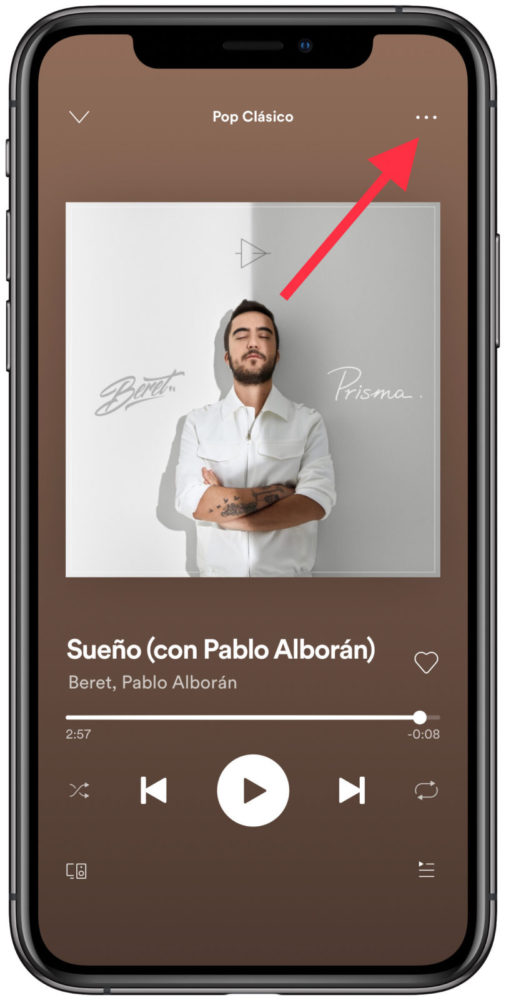 temporizador de Spotify 1