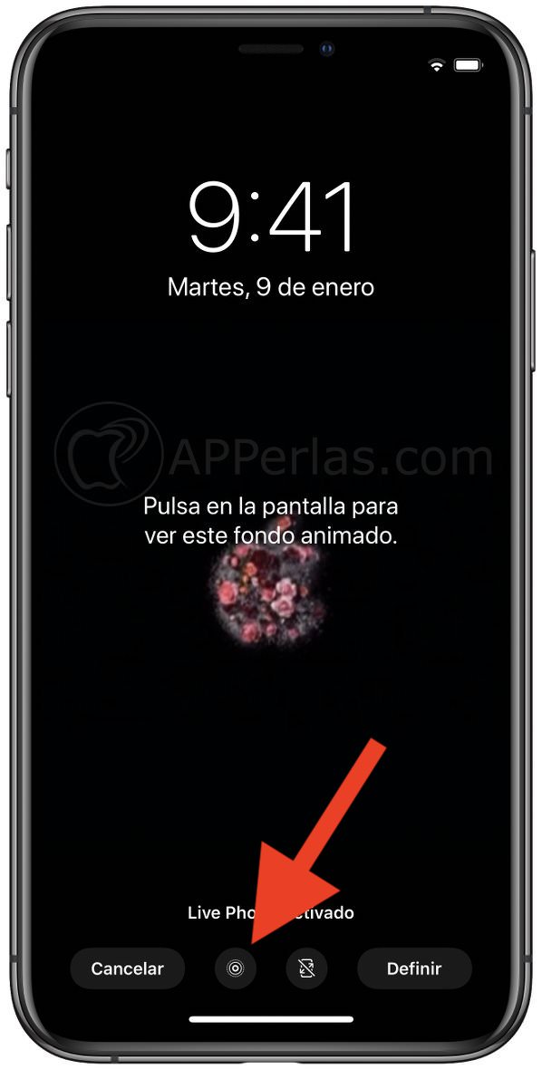 Activa la opción "Live Photo" Activa la opción "Live Photo"