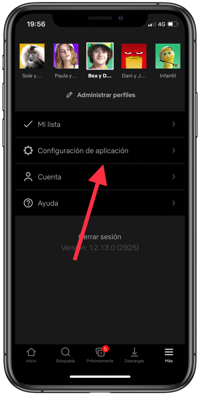 configuración descargas de Netflix 1