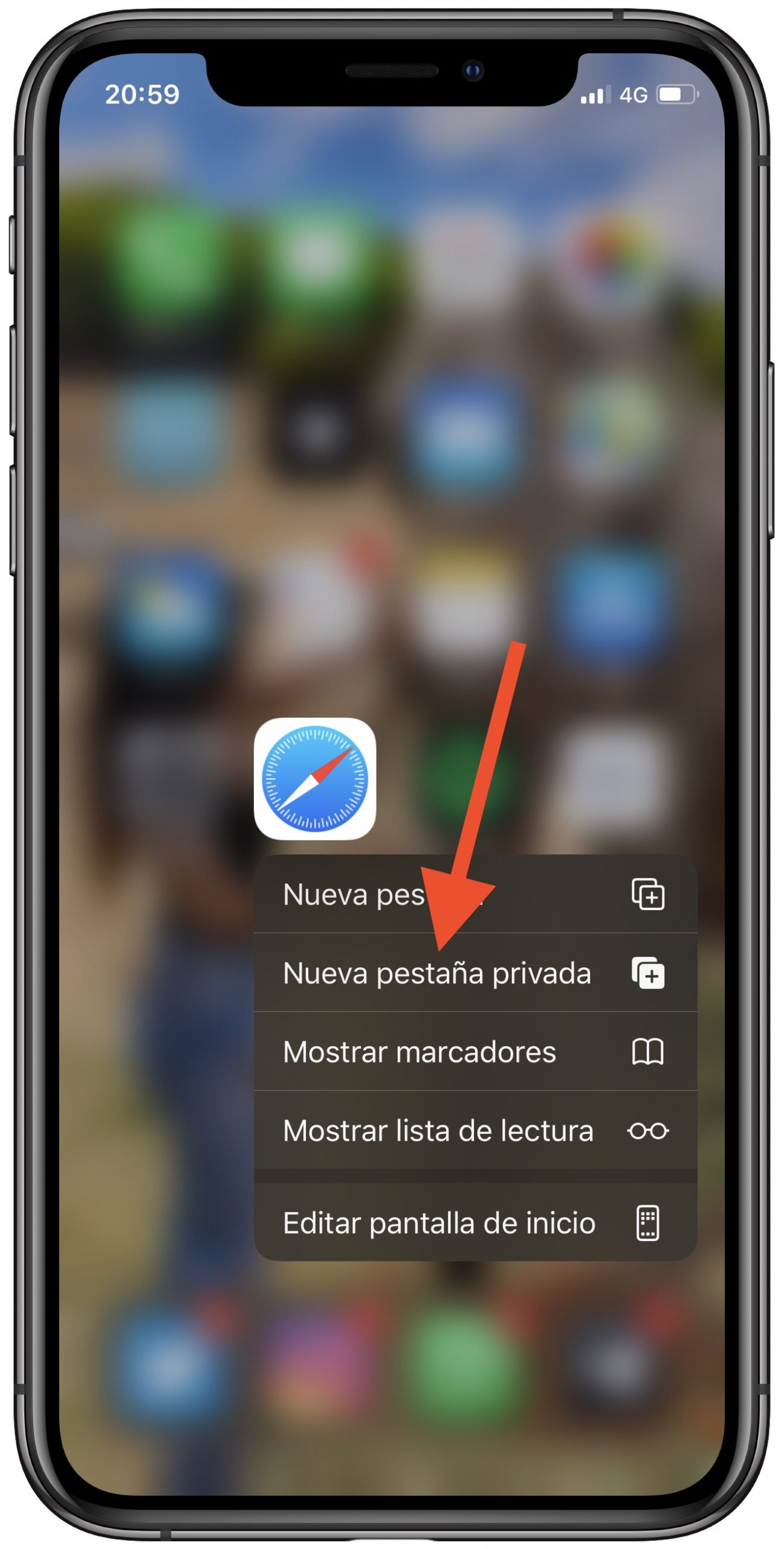 privado desde Safari 1