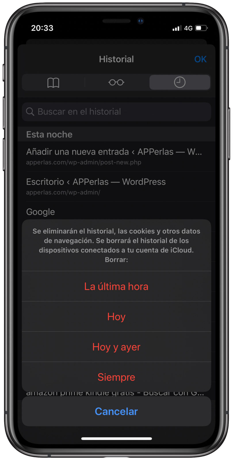 tiempo eliminar el historial de Safari