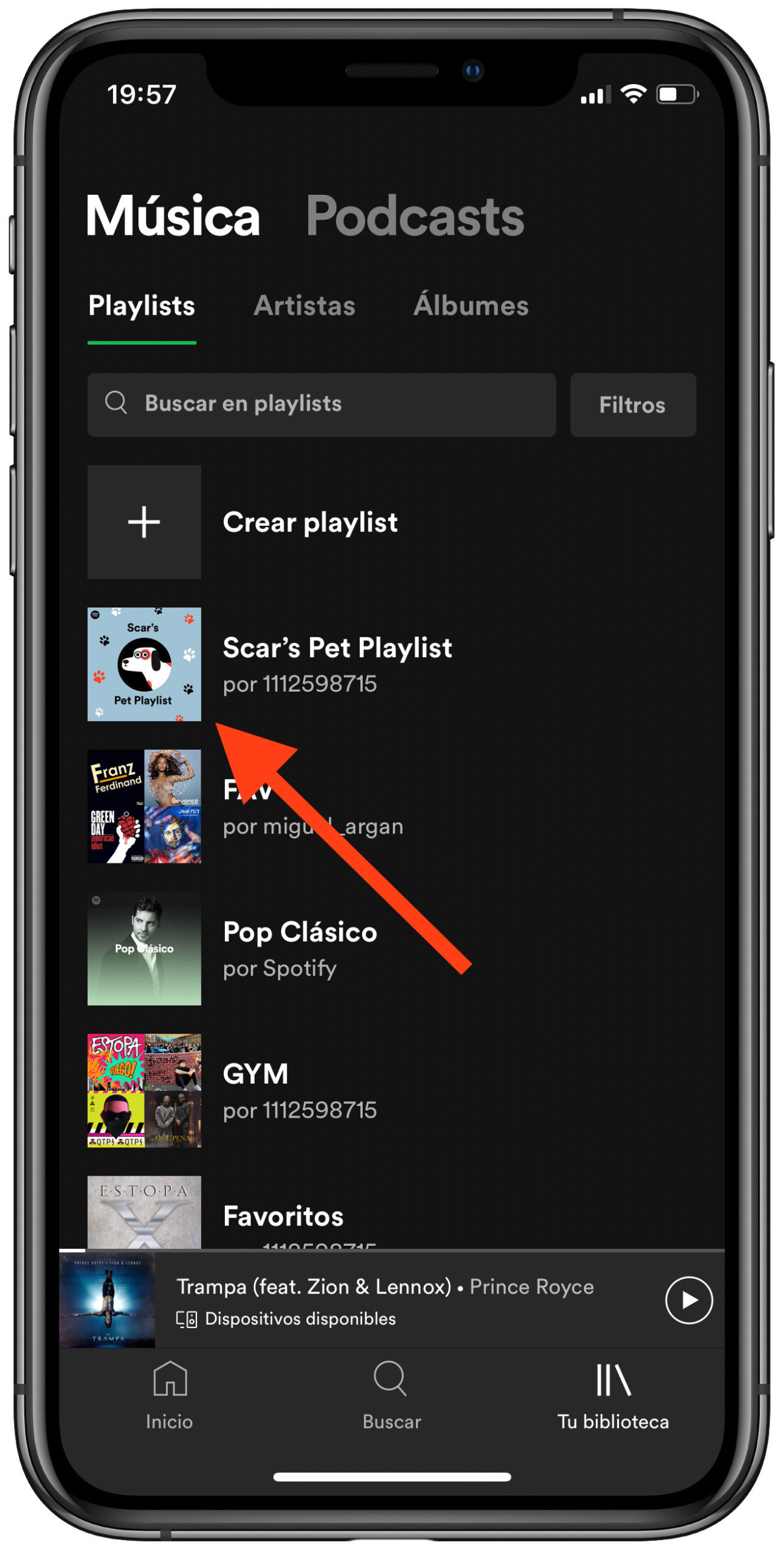 buscar Spotify para tu mascota 3
