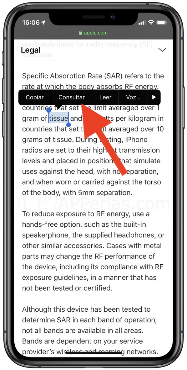 Opción "consultar" para acceder al traductor Opción "consultar" para acceder al traductor