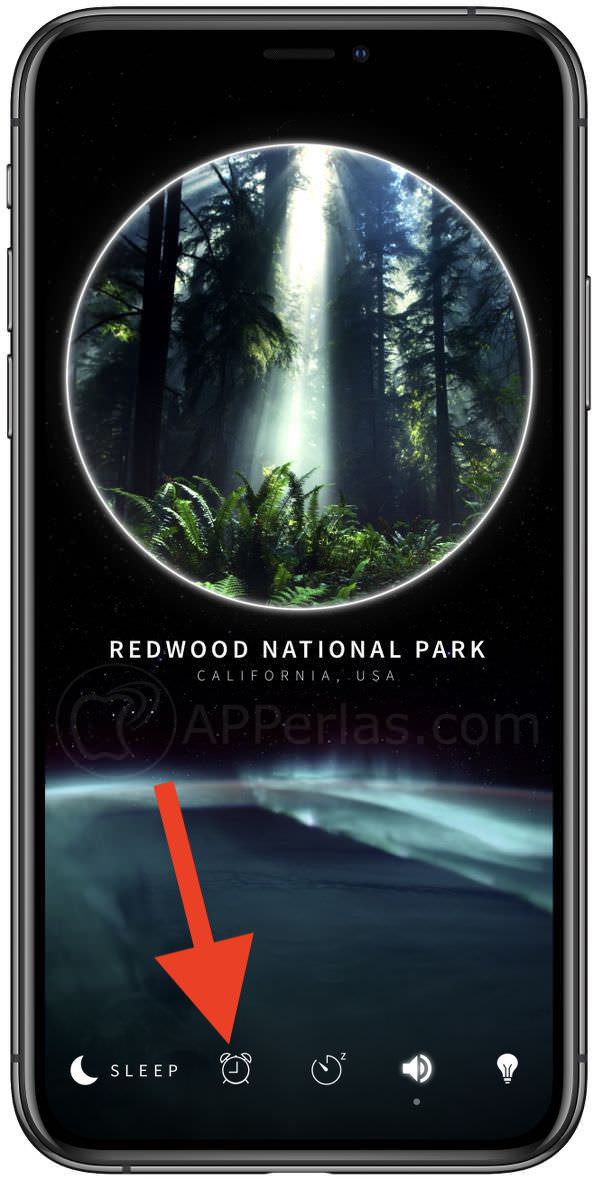 Función despertador