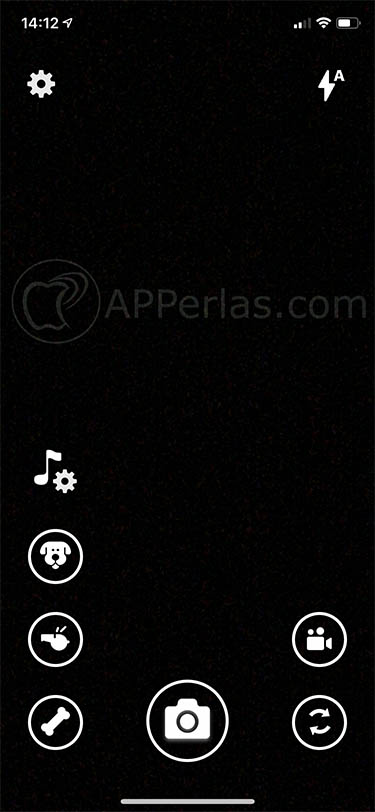 app para sacar fotos a perros 2 app para sacar fotos a perros 2