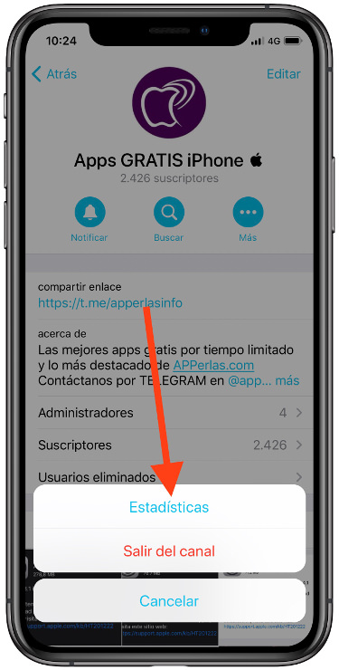 pestaña estadísticas de tu canal de Telegram 2