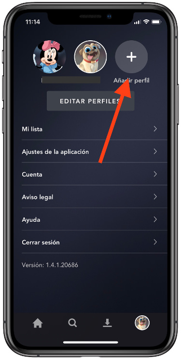nuevos perfiles en Disney 1