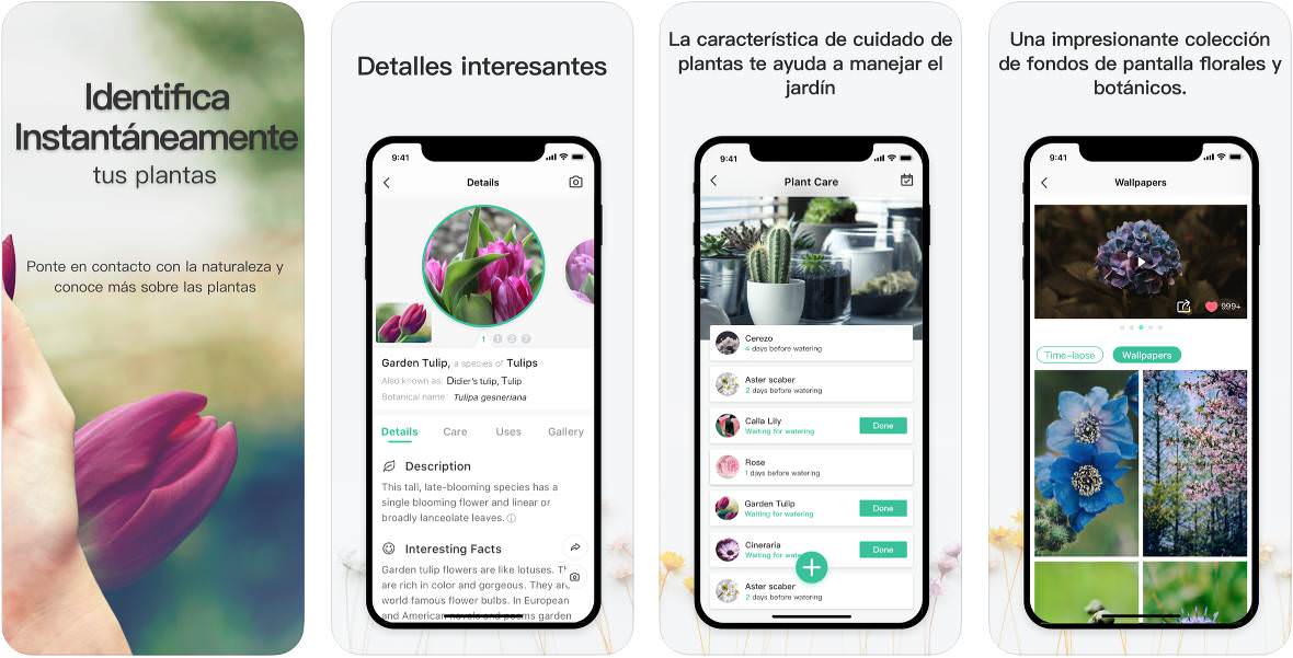 Capturas de la app Capturas de la app