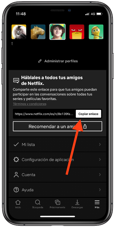 copiar amigos a Netflix 1