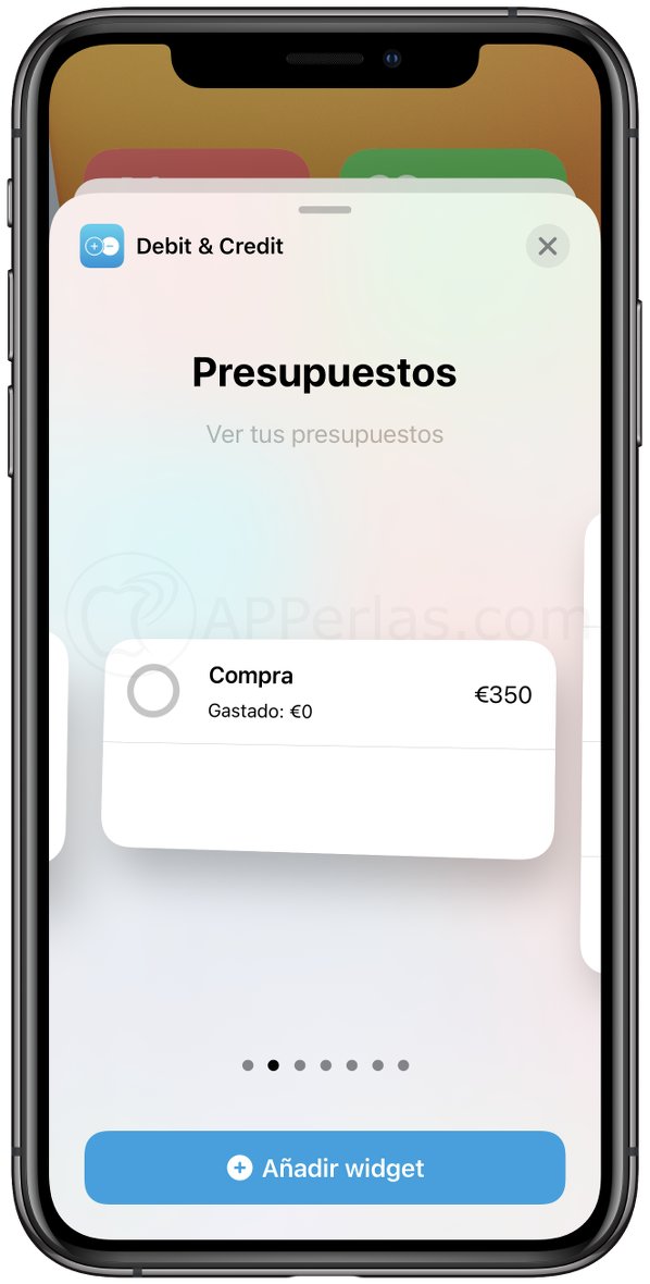 Widget de finanzas de la app Debit & Credit Widget de finanzas de la app Debit & Credit
