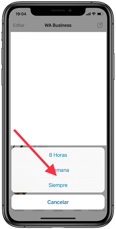 seleccionar grupo de WhatsApp para siempre 1