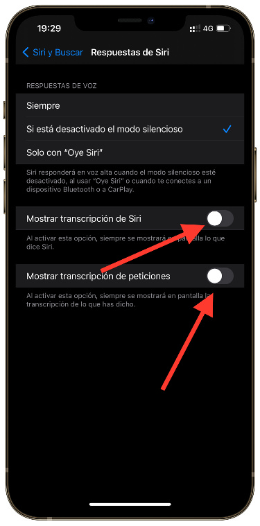 ajustes transcripciones de Siri 1
