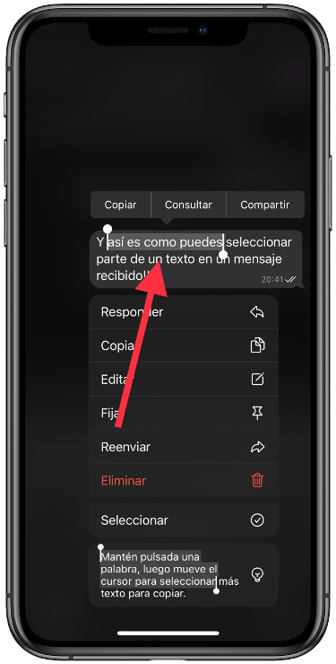 seleccionar texto en un mensaje de Telegram 2