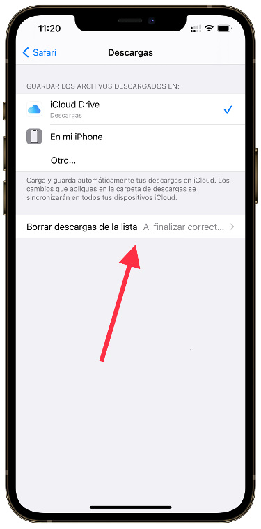 opción eliminar las descargas de Safari 2