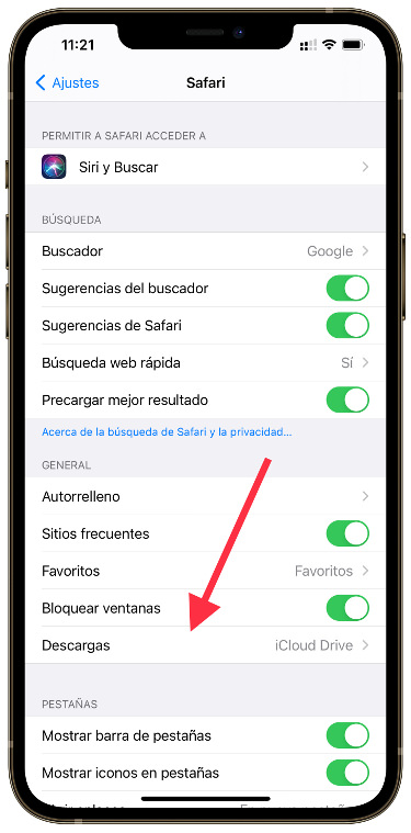 descargas eliminar las descargas de Safari 1