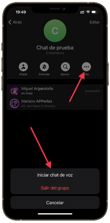 grupo de chat de voz 1