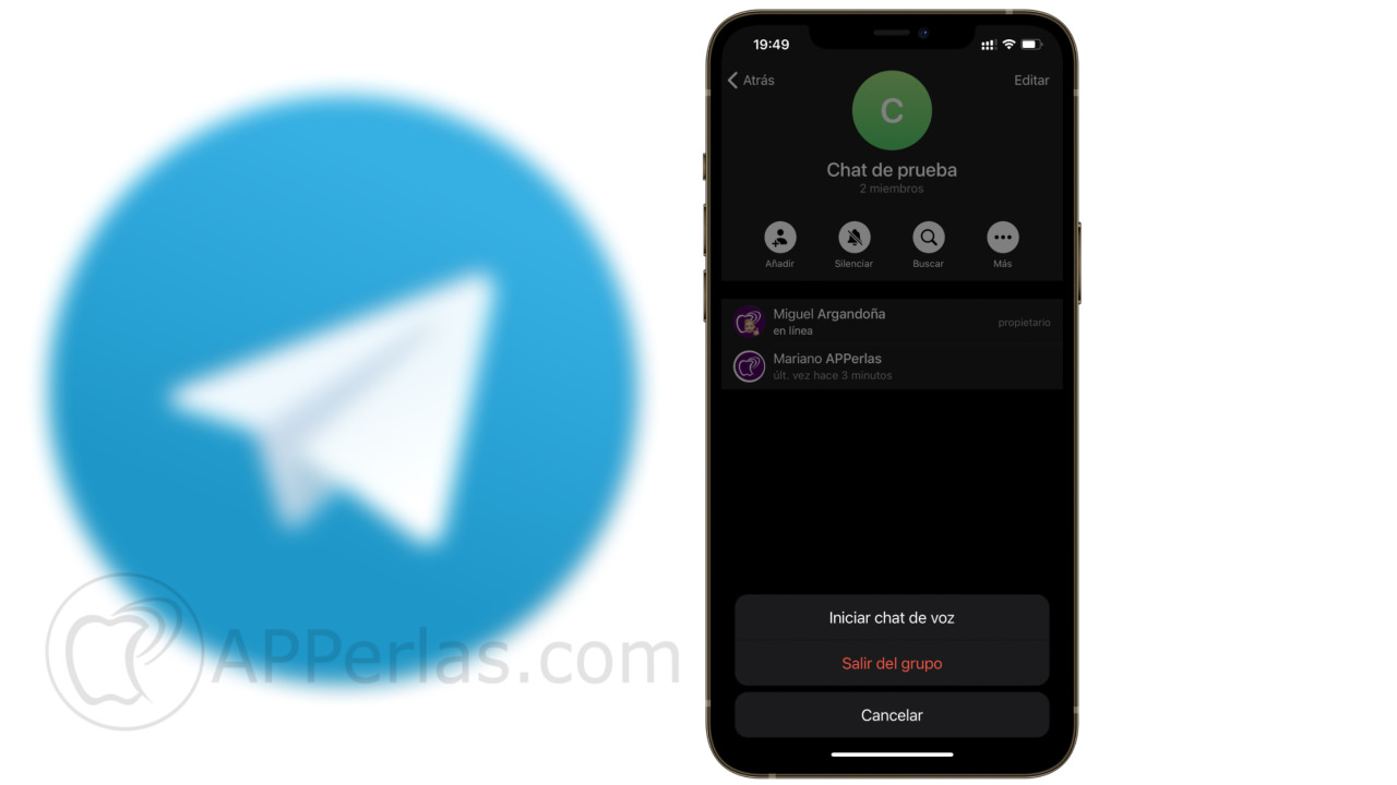 grupo de chat de voz