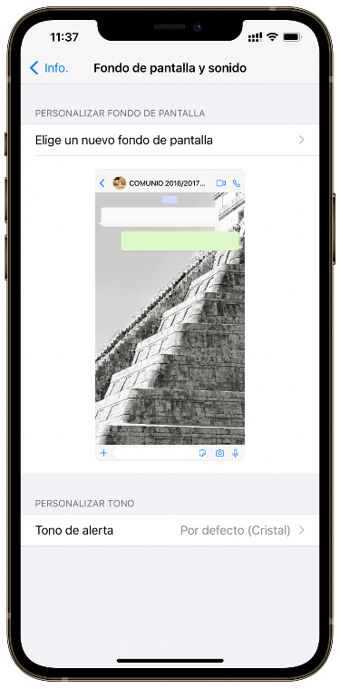 seleccionar fondos en cada chat de WhatsApp 1