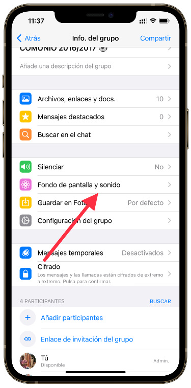 fondos en cada chat