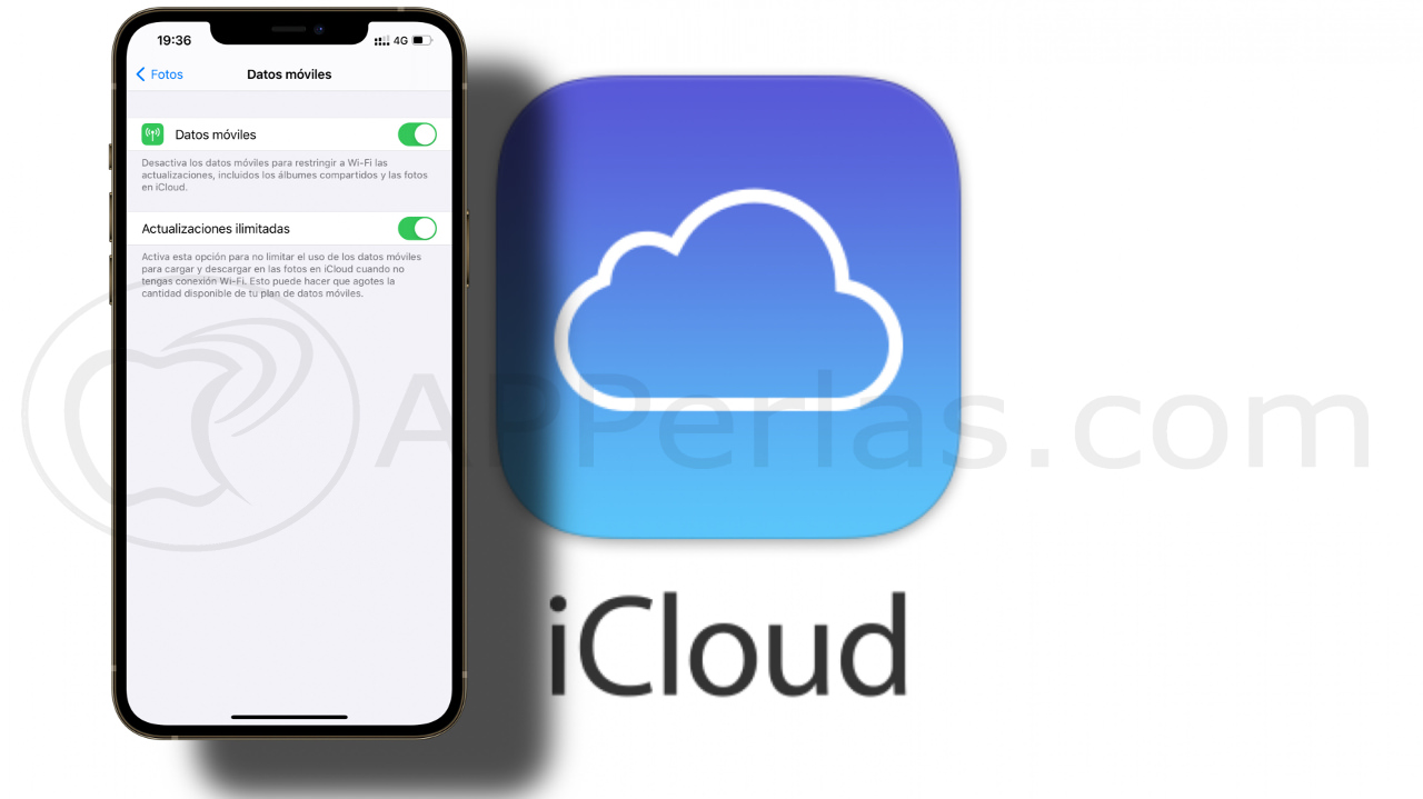 copia de seguridad de tus fotos copia de seguridad de tus fotos
