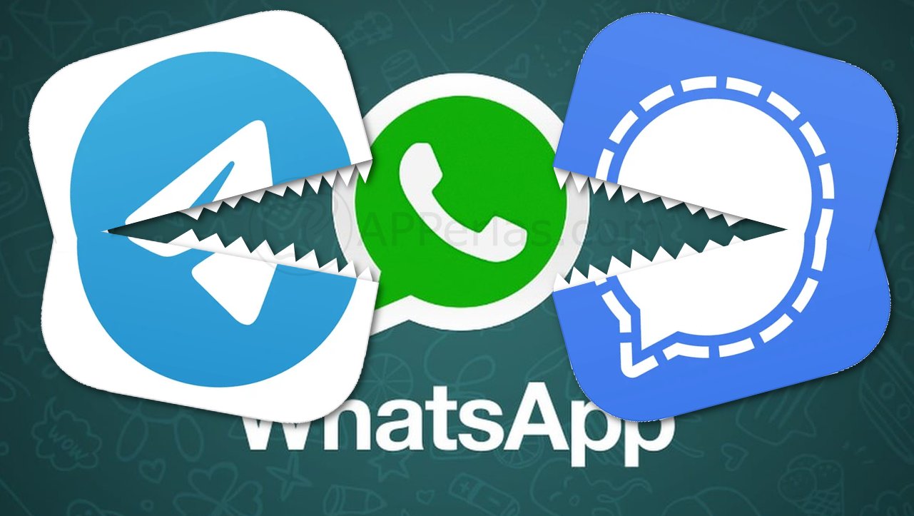 Comparativa: WhatsApp vs Telegram vs Signal Comparativa: WhatsApp vs Telegram vs Signal