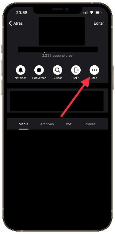 Más reportar un canal en Telegram 1