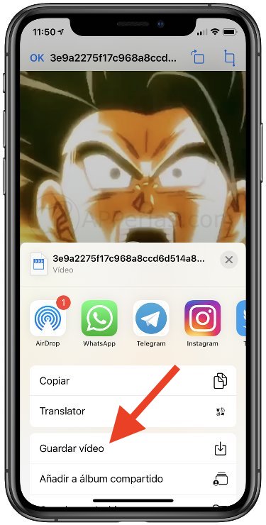 Guardar vídeo en el carrete del iPhone Guardar vídeo en el carrete del iPhone