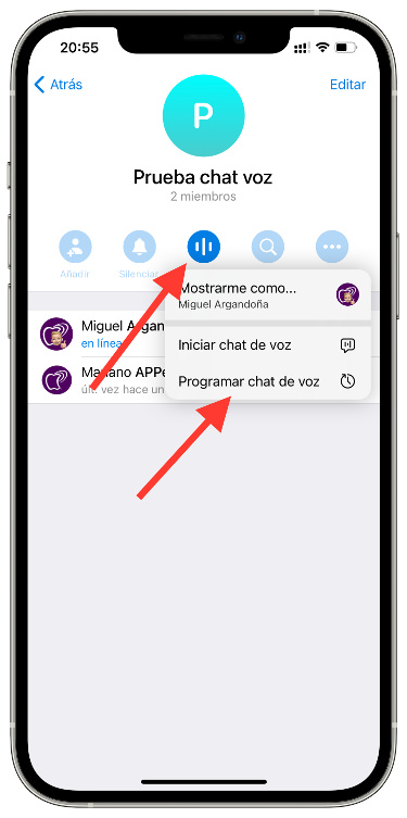 seleccionar programar un chat de voz 1