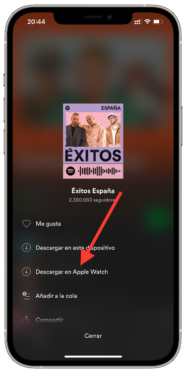 descargar música de Spotify 2