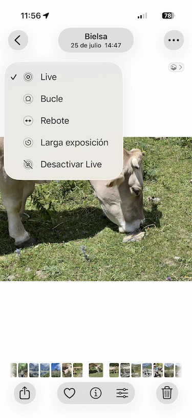 Efectos Live Photo Efectos Live Photo