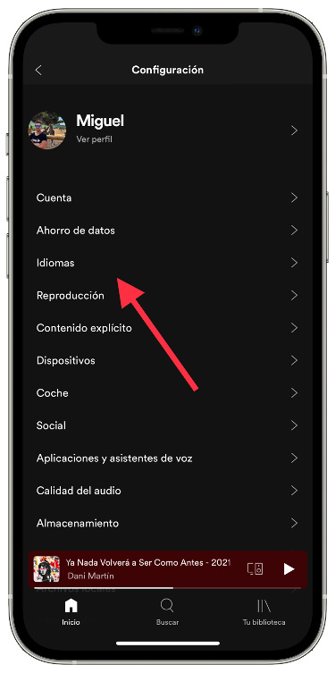 Idioma idioma de Spotify 1