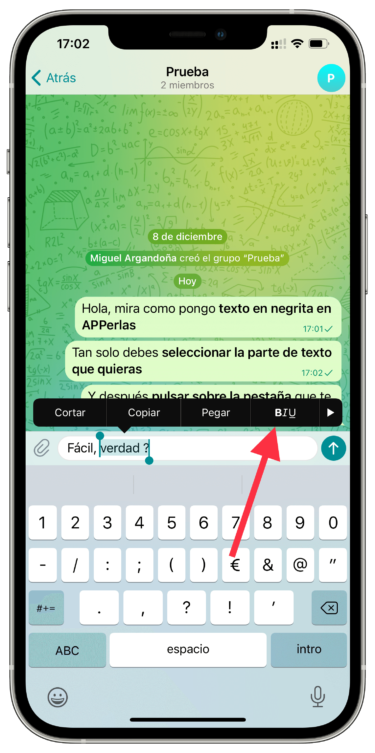 Seleccionar negrita en Telegram 1
